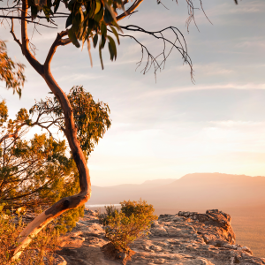 FIFO | residential mine site | high visibility | reflective work pants